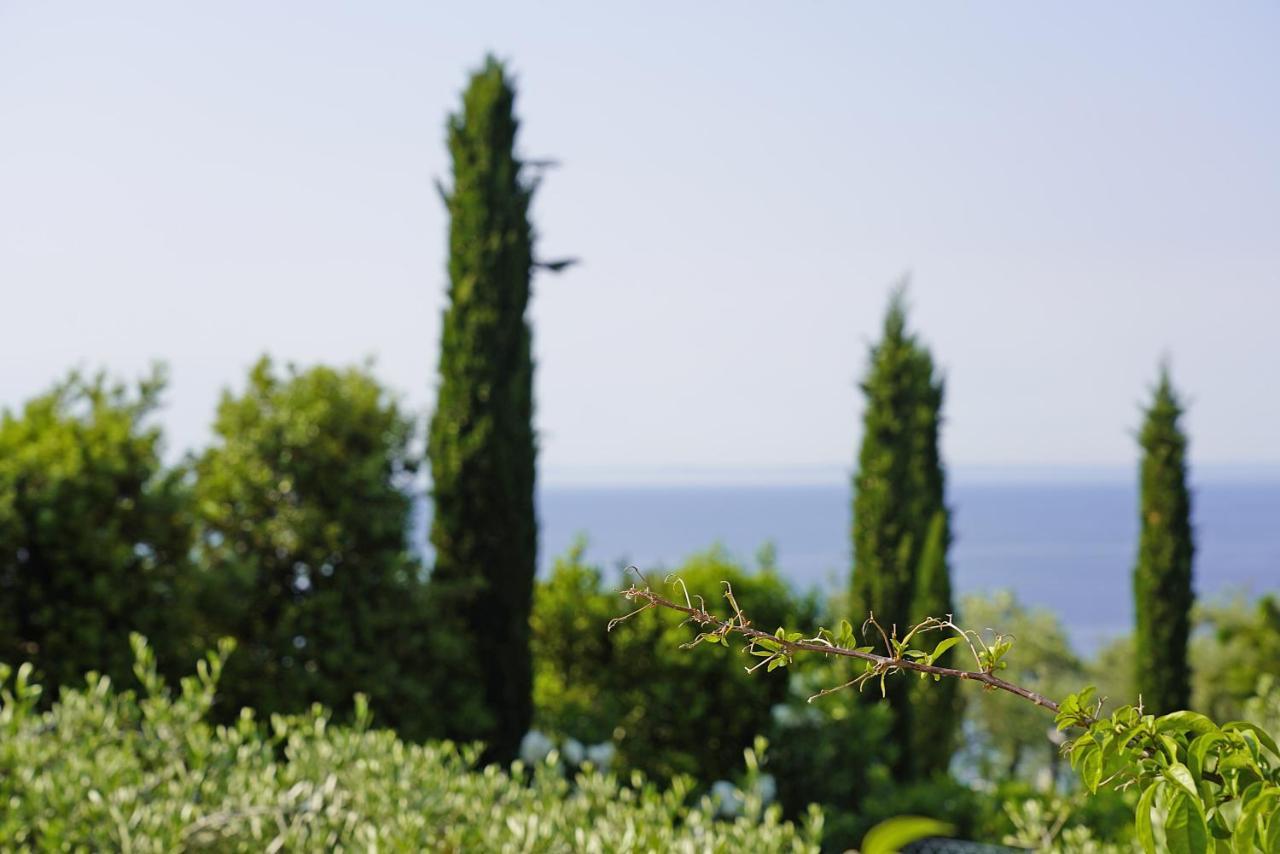 Villa Bouganville Toscolano Maderno Dış mekan fotoğraf